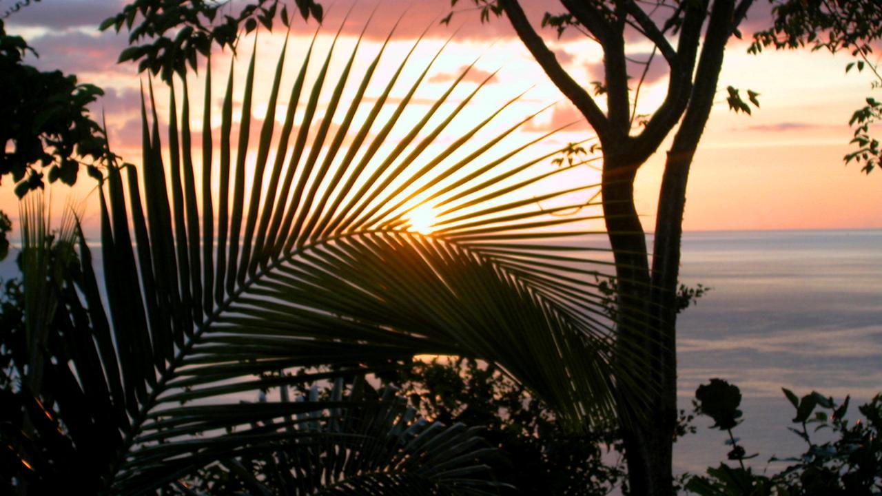 Nature'S Paradise Acomodação com café da manhã Marigot Bay Exterior foto