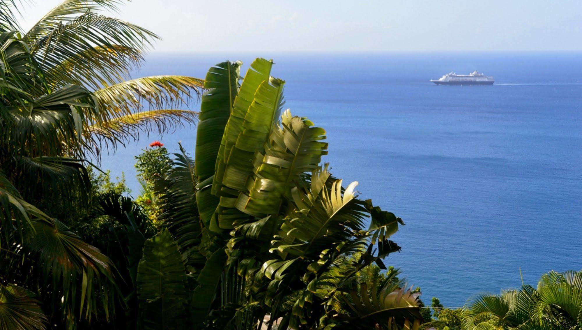 Nature'S Paradise Acomodação com café da manhã Marigot Bay Exterior foto