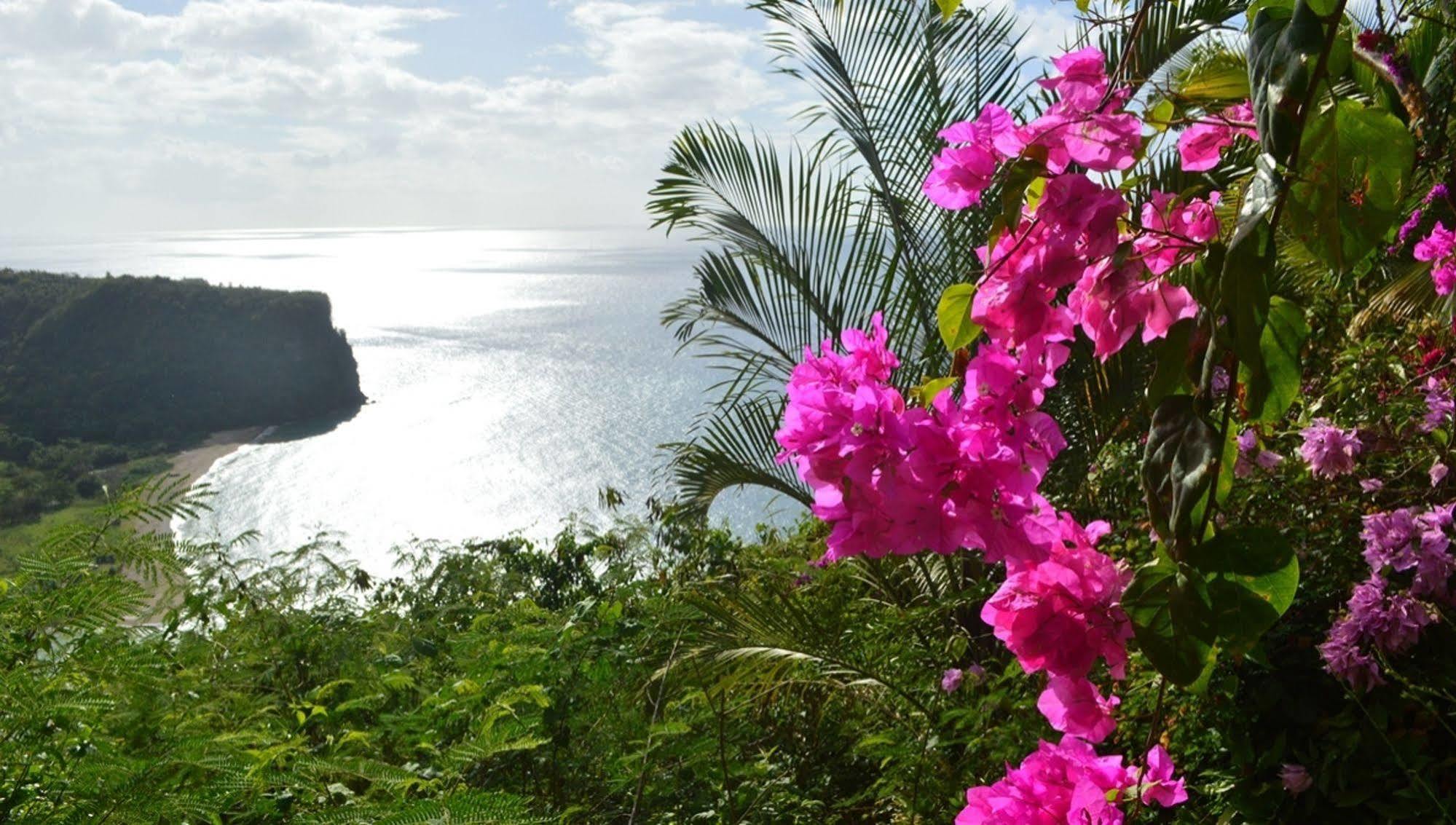 Nature'S Paradise Acomodação com café da manhã Marigot Bay Exterior foto